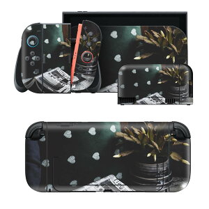 igsticker Nintendo Switch 2 �p �X�L���V�[�� �{�́E�h�b�N�EJoy-Con 2 �Ή� 4�ʃZ�b�g �������� �ی� �{�@�A�� 023836
