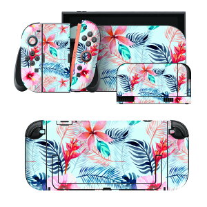 igsticker Nintendo Switch 2 �p �X�L���V�[�� �{�́E�h�b�N�EJoy-Con 2 �Ή� 4�ʃZ�b�g �������� �ی� �ԁ@�t�����[�@�n�C�r�X�J�X�@�� 023910
