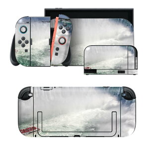 igsticker Nintendo Switch 2 �p �X�L���V�[�� �{�́E�h�b�N�EJoy-Con 2 �Ή� 4�ʃZ�b�g �������� �ی� �i�F�@��@���R 023954
