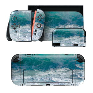 igsticker Nintendo Switch 2 �p �X�L���V�[�� �{�́E�h�b�N�EJoy-Con 2 �Ή� 4�ʃZ�b�g �������� �ی� �C�@�g�@�ʐ^ 023958