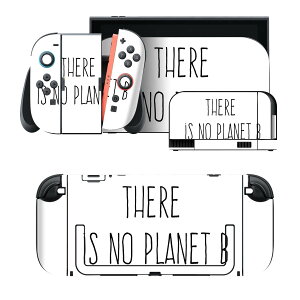 igsticker Nintendo Switch 2 �p �X�L���V�[�� �{�́E�h�b�N�EJoy-Con 2 �Ή� 4�ʃZ�b�g �������� �ی� �i�� 024183