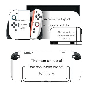 igsticker Nintendo Switch 2 �p �X�L���V�[�� �{�́E�h�b�N�EJoy-Con 2 �Ή� 4�ʃZ�b�g �������� �ی� �i�� 024854