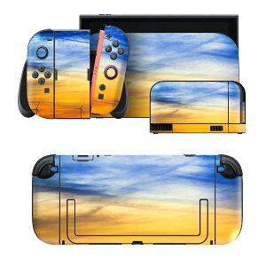 igsticker Nintendo Switch 2 �p �X�L���V�[�� �{�́E�h�b�N�EJoy-Con 2 �Ή� 4�ʃZ�b�g �������� �ی� ��@���z�@�_ 025686