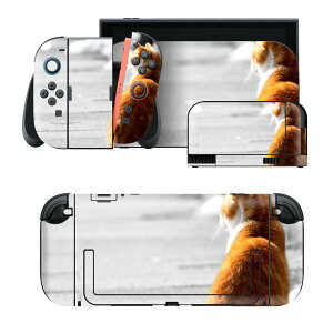 igsticker Nintendo Switch 2 �p �X�L���V�[�� �{�́E�h�b�N�EJoy-Con 2 �Ή� 4�ʃZ�b�g �������� �ی� �����@�l�R�@���i 025763