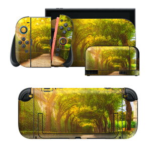 igsticker Nintendo Switch 2 �p �X�L���V�[�� �{�́E�h�b�N�EJoy-Con 2 �Ή� 4�ʃZ�b�g �������� �ی� �؁@�����@���z 025817