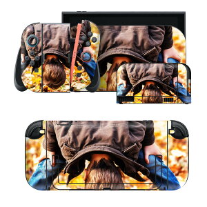 igsticker Nintendo Switch 2 �p �X�L���V�[�� �{�́E�h�b�N�EJoy-Con 2 �Ή� 4�ʃZ�b�g �������� �ی� �H�@�g�t�@�q�� 025822