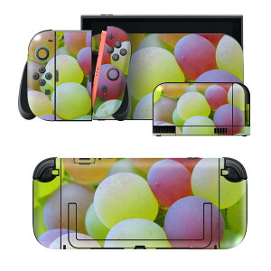 igsticker Nintendo Switch 2 �p �X�L���V�[�� �{�́E�h�b�N�EJoy-Con 2 �Ή� 4�ʃZ�b�g �������� �ی� �t���[�c�@�Ԃǂ��@�ʕ� 025823