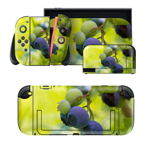 igsticker Nintendo Switch 2 �p �X�L���V�[�� �{�́E�h�b�N�EJoy-Con 2 �Ή� 4�ʃZ�b�g �������� �ی� �ʕ��@�t���[�c�@�u���[�x���[ 026025