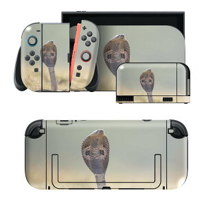 igsticker Nintendo Switch 2 �p �X�L���V�[�� �{�́E�h�b�N�EJoy-Con 2 �Ή� 4�ʃZ�b�g �������� �ی� �ց@�w�r�@঒��ށ@�R�u�� 026031