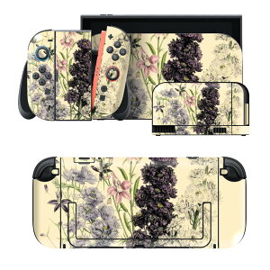igsticker Nintendo Switch 2 �p �X�L���V�[�� �{�́E�h�b�N�EJoy-Con 2 �Ή� 4�ʃZ�b�g �������� �ی� �ԁ@�{�^�j�J���@�A���e�B�[�N 026068