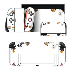 igsticker Nintendo Switch 2 �p �X�L���V�[�� �{�́E�h�b�N�EJoy-Con 2 �Ή� 4�ʃZ�b�g �������� �ی� ���@������ 030005