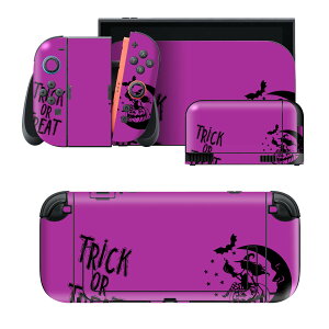 igsticker Nintendo Switch 2 �p �X�L���V�[�� �{�́E�h�b�N�EJoy-Con 2 �Ή� 4�ʃZ�b�g �������� �ی� �����@�O���� 030080