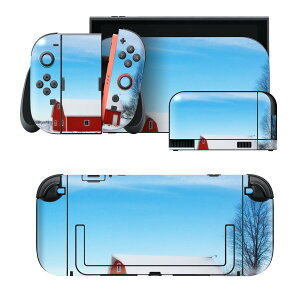 igsticker Nintendo Switch 2 �p �X�L���V�[�� �{�́E�h�b�N�EJoy-Con 2 �Ή� 4�ʃZ�b�g �������� �ی� ��i�F �ʐ^ �R�e�[�W 030490