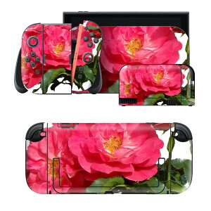 igsticker Nintendo Switch 2 �p �X�L���V�[�� �{�́E�h�b�N�EJoy-Con 2 �Ή� 4�ʃZ�b�g �������� �ی� �� ��̓� �ʐ^ 030577