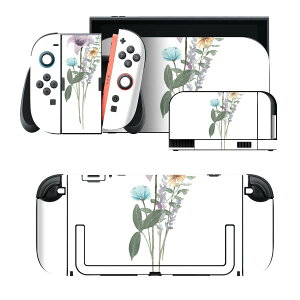 igsticker Nintendo Switch 2 �p �X�L���V�[�� �{�́E�h�b�N�EJoy-Con 2 �Ή� 4�ʃZ�b�g �������� �ی� �� �p�[�v�� �t�����[ 031830