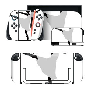 igsticker Nintendo Switch 2 �p �X�L���V�[�� �{�́E�h�b�N�EJoy-Con 2 �Ή� 4�ʃZ�b�g �������� �ی� �o�����[�i �|�[�Y �V���G�b�g 031929