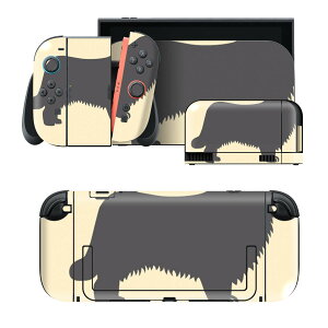 igsticker Nintendo Switch 2 �p �X�L���V�[�� �{�́E�h�b�N�EJoy-Con 2 �Ή� 4�ʃZ�b�g �������� �ی� �j���[�t�@�� �V���G�b�g �h�b�O 032926