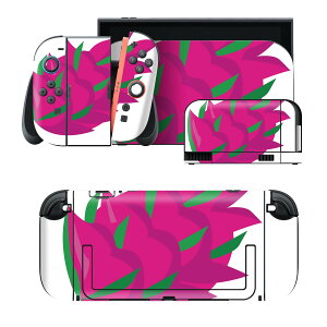 igsticker Nintendo Switch 2 �p �X�L���V�[�� �{�́E�h�b�N�EJoy-Con 2 �Ή� 4�ʃZ�b�g �������� �ی� �h���S���t���[�c�@�ʕ��@�C���X�g 032961