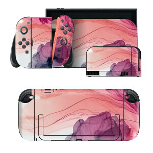 igsticker Nintendo Switch 2 �p �X�L���V�[�� �{�́E�h�b�N�EJoy-Con 2 �Ή� 4�ʃZ�b�g �������� �ی� �� �t�����[ 033514
