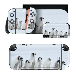 igsticker Nintendo Switch 2 �p �X�L���V�[�� �{�́E�h�b�N�EJoy-Con 2 �Ή� 4�ʃZ�b�g �������� �ی� �y���M�� �� 033638
