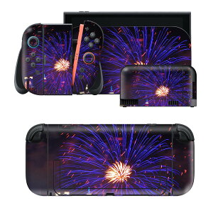 igsticker Nintendo Switch 2 �p �X�L���V�[�� �{�́E�h�b�N�EJoy-Con 2 �Ή� 4�ʃZ�b�g �������� �ی� �ԉ� �Ղ� 033645