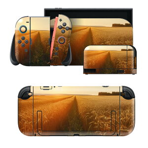 igsticker Nintendo Switch 2 �p �X�L���V�[�� �{�́E�h�b�N�EJoy-Con 2 �Ή� 4�ʃZ�b�g �������� �ی� ���� �g�t 033680