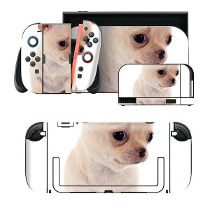 igsticker Nintendo Switch 2 �p �X�L���V�[�� �{�́E�h�b�N�EJoy-Con 2 �Ή� 4�ʃZ�b�g �������� �ی� ���@�ʐ^ 037181