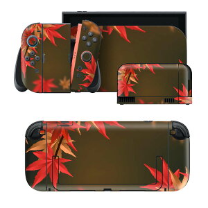 igsticker Nintendo Switch 2 �p �X�L���V�[�� �{�́E�h�b�N�EJoy-Con 2 �Ή� 4�ʃZ�b�g �������� �ی� �H �g�t 037197