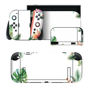 igsticker Nintendo Switch 2 �p �X�L���V�[�� �{�́E�h�b�N�EJoy-Con 2 �Ή� 4�ʃZ�b�g �������� �ی� �n�C�r�X�J�X �t���[�� �썑 �� 037575