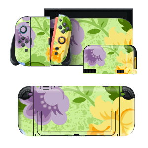 igsticker Nintendo Switch 2 �p �X�L���V�[�� �{�́E�h�b�N�EJoy-Con 2 �Ή� 4�ʃZ�b�g �������� �ی� �ԁ@�C���X�g�@�� 004176