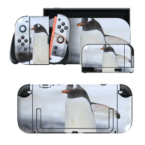 igsticker Nintendo Switch 2 �p �X�L���V�[�� �{�́E�h�b�N�EJoy-Con 2 �Ή� 4�ʃZ�b�g �������� �ی� �����@�y���M���@�ʐ^ 004679