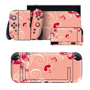 igsticker Nintendo Switch 2 �p �X�L���V�[�� �{�́E�h�b�N�EJoy-Con 2 �Ή� 4�ʃZ�b�g �������� �ی� �ԁ@�K�[���[�@�� 005011