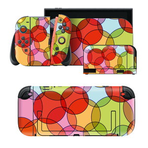 igsticker Nintendo Switch 2 �p �X�L���V�[�� �{�́E�h�b�N�EJoy-Con 2 �Ή� 4�ʃZ�b�g �������� �ی� �͗l�@�ہ@�ԁ@�� 005191