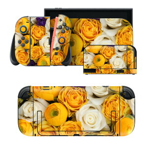 igsticker Nintendo Switch 2 �p �X�L���V�[�� �{�́E�h�b�N�EJoy-Con 2 �Ή� 4�ʃZ�b�g �������� �ی� ���F�@���@���@�� 005351