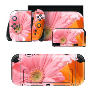 igsticker Nintendo Switch 2 �p �X�L���V�[�� �{�́E�h�b�N�EJoy-Con 2 �Ή� 4�ʃZ�b�g �������� �ی� �ԁ@�@�ʐ^ 005378
