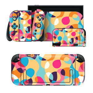 igsticker Nintendo Switch 2 �p �X�L���V�[�� �{�́E�h�b�N�EJoy-Con 2 �Ή� 4�ʃZ�b�g �������� �ی� �J���t���@�͗l 005407