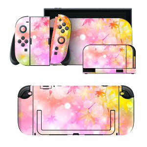 igsticker Nintendo Switch 2 �p �X�L���V�[�� �{�́E�h�b�N�EJoy-Con 2 �Ή� 4�ʃZ�b�g �������� �ی� �g�t�@�J���t�� 005454