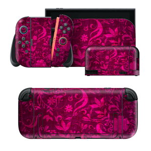 igsticker Nintendo Switch 2 �p �X�L���V�[�� �{�́E�h�b�N�EJoy-Con 2 �Ή� 4�ʃZ�b�g �������� �ی� �ԁ@�@�͗l 005514