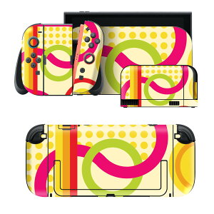 igsticker Nintendo Switch 2 �p �X�L���V�[�� �{�́E�h�b�N�EJoy-Con 2 �Ή� 4�ʃZ�b�g �������� �ی� �J���t���@�͗l 005904