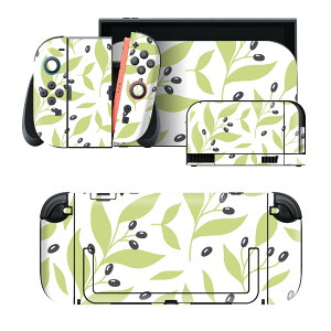 igsticker Nintendo Switch 2 �p �X�L���V�[�� �{�́E�h�b�N�EJoy-Con 2 �Ή� 4�ʃZ�b�g �������� �ی� �I���[�u�@�t���ρ@�O���[�� 050369