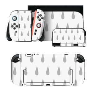 igsticker Nintendo Switch 2 �p �X�L���V�[�� �{�́E�h�b�N�EJoy-Con 2 �Ή� 4�ʃZ�b�g �������� �ی� �������@�O���[�@�͗l 050502