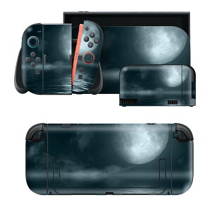 igsticker Nintendo Switch 2 �p �X�L���V�[�� �{�́E�h�b�N�EJoy-Con 2 �Ή� 4�ʃZ�b�g �������� �ی� �C�@��@�� 006034