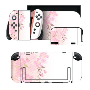 igsticker Nintendo Switch 2 �p �X�L���V�[�� �{�́E�h�b�N�EJoy-Con 2 �Ή� 4�ʃZ�b�g �������� �ی� �� 006499