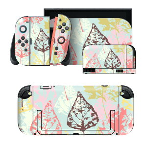 igsticker Nintendo Switch 2 �p �X�L���V�[�� �{�́E�h�b�N�EJoy-Con 2 �Ή� 4�ʃZ�b�g �������� �ی� �͗l�@�t���� 006505