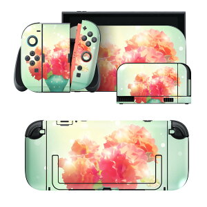 igsticker Nintendo Switch 2 �p �X�L���V�[�� �{�́E�h�b�N�EJoy-Con 2 �Ή� 4�ʃZ�b�g �������� �ی� �� 006530