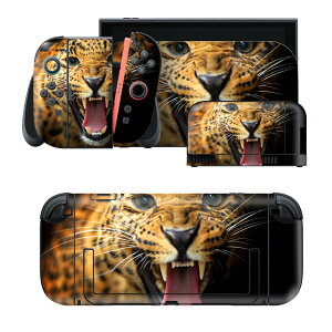 igsticker Nintendo Switch 2 �p �X�L���V�[�� �{�́E�h�b�N�EJoy-Con 2 �Ή� 4�ʃZ�b�g �������� �ی� �ʐ^�@�q���E�@���� 006723