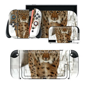 igsticker Nintendo Switch 2 �p �X�L���V�[�� �{�́E�h�b�N�EJoy-Con 2 �Ή� 4�ʃZ�b�g �������� �ی� �ʐ^�@�����@�� 006779
