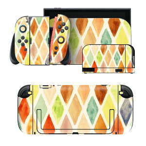 igsticker Nintendo Switch 2 �p �X�L���V�[�� �{�́E�h�b�N�EJoy-Con 2 �Ή� 4�ʃZ�b�g �������� �ی� �J���t���@�͗l�@�A�[�K�C�� 006866