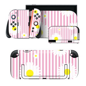 igsticker Nintendo Switch 2 �p �X�L���V�[�� �{�́E�h�b�N�EJoy-Con 2 �Ή� 4�ʃZ�b�g �������� �ی� �ԁ@�@�X�g���C�v 006954