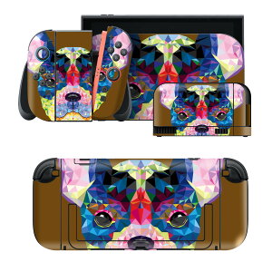 igsticker Nintendo Switch 2 �p �X�L���V�[�� �{�́E�h�b�N�EJoy-Con 2 �Ή� 4�ʃZ�b�g �������� �ی� ���@�J���t���@���F�@�u���E�� 007392